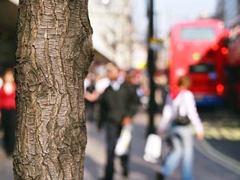 Oxford St London W1