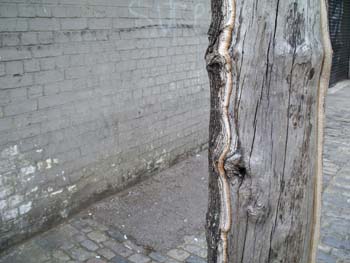 Spital St London E1