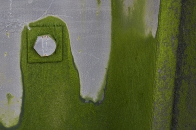 Bankside River Wall
