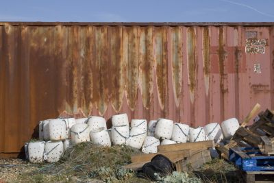 Dungeness, East Sussex