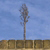 project kwt stone