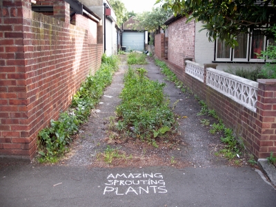 Guerrilla Graphics