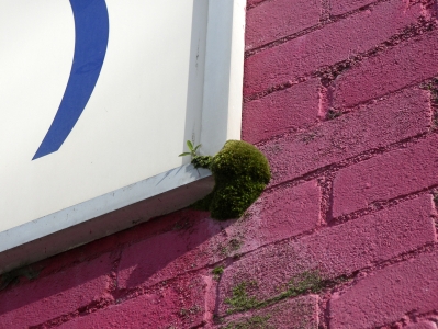 Plant Animals of London